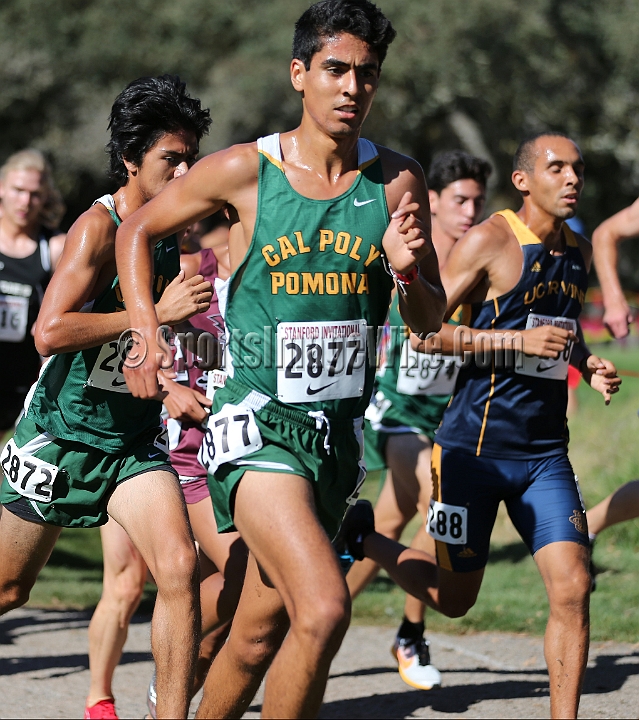 2015SIxcCollege-105.JPG - 2015 Stanford Cross Country Invitational, September 26, Stanford Golf Course, Stanford, California.